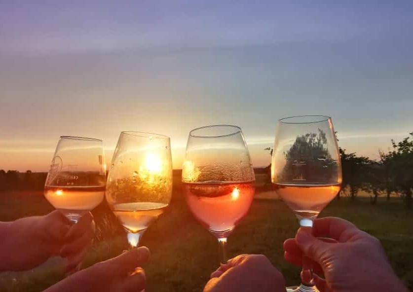Weingut Will Und Wuerz Lemberger Apartamento Schwaigern Exterior foto