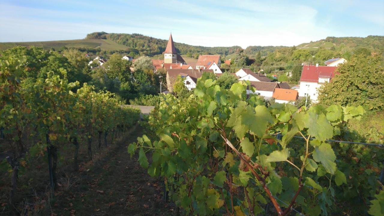 Weingut Will Und Wuerz Lemberger Apartamento Schwaigern Exterior foto